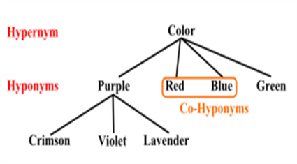 Aula X- Linguistic variation: morphosyntax, slangs, contractions; aim / goal; synonym / antonym; hypernym / hyponym, paronym 4