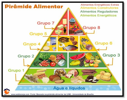 Tipos de alimentos e suas composições 1